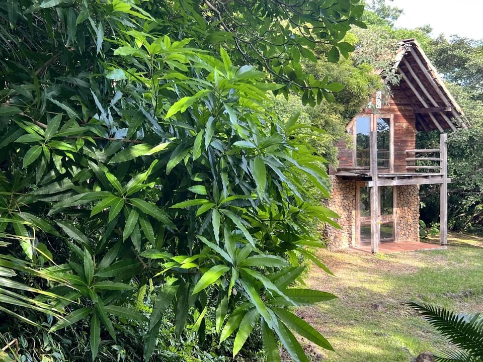 A timber house with a balcony among the trees at Veritas Village Coronado