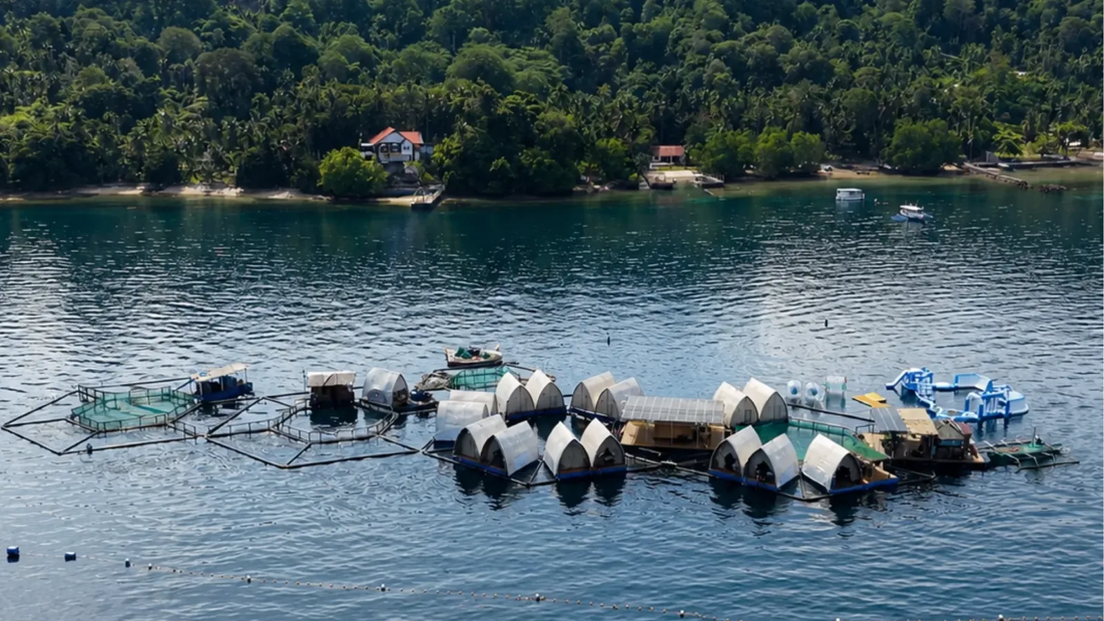 The Reef Resort off Samal Island: white glamphouses and solar panels on hexagonal fish pens, with the forested shoreline behind