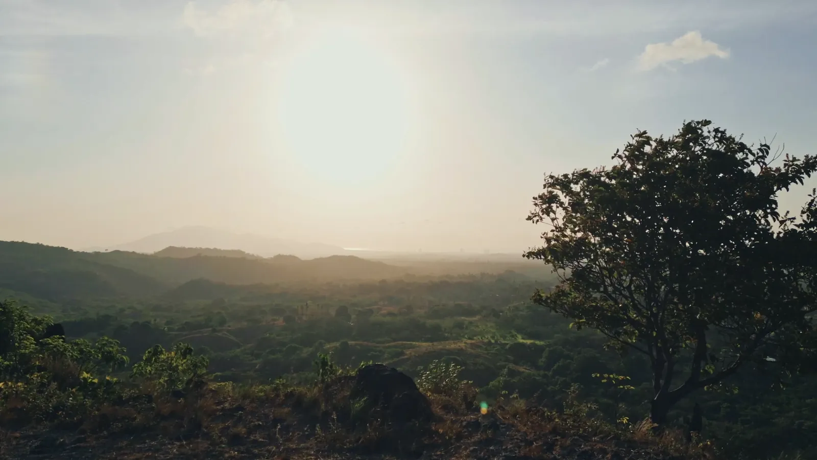 The wooded hillside above Coronado, Panama, where Veritas Village is under construction