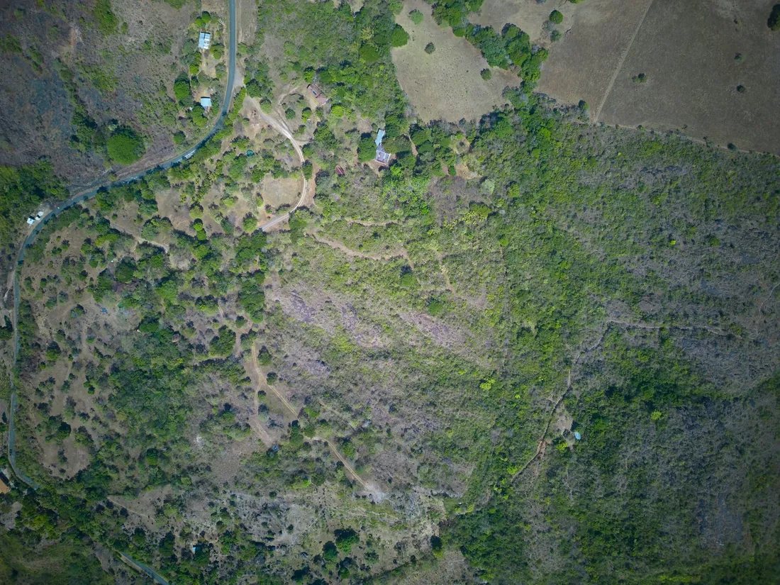 Aerial view of the wooded hillside site with its access roads and first structures