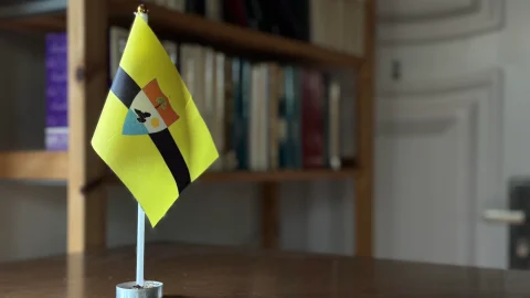 The Dawn of Liberland